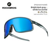 Dark Gray Blue(Polarized lens)