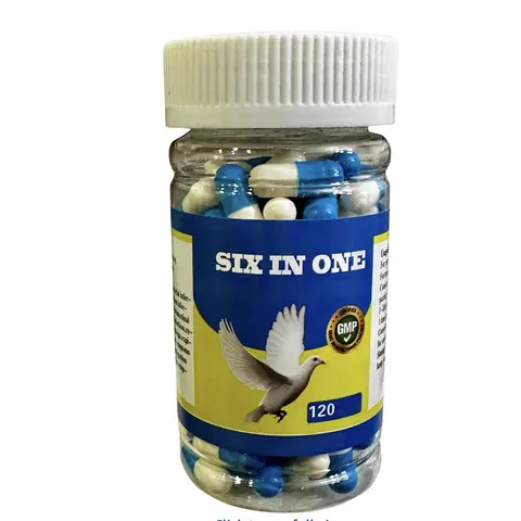 6 in 1 Capsules Pigeon Healthcare Supplement, Comprehensive Formula Bird Care Product for Daily Well-Being & Overall Condition Maintenance, Easy Feeding 120 Capsules