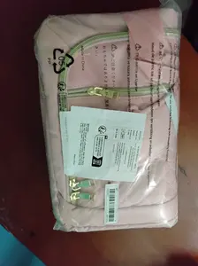 Big Padded bage, New, Many Compartment. 16x12x5