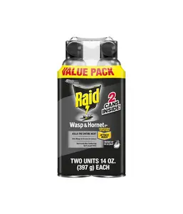 Raid Wasp & Hornet Killer Spray, Bug Killer Kills the Entire Nest, 14 Oz, 2 Count