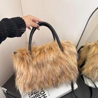 Coat color of the raccoon