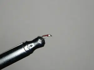 Zebra Midge
