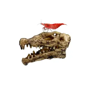 Nano Crocodile Skull – Mini Aquarium & Terrarium Hide for Dart Frogs, Shrimp, and Nano Fish