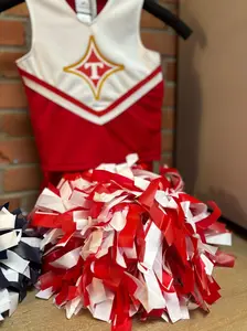 Thomasville Bulldog Cheer Pom Pom