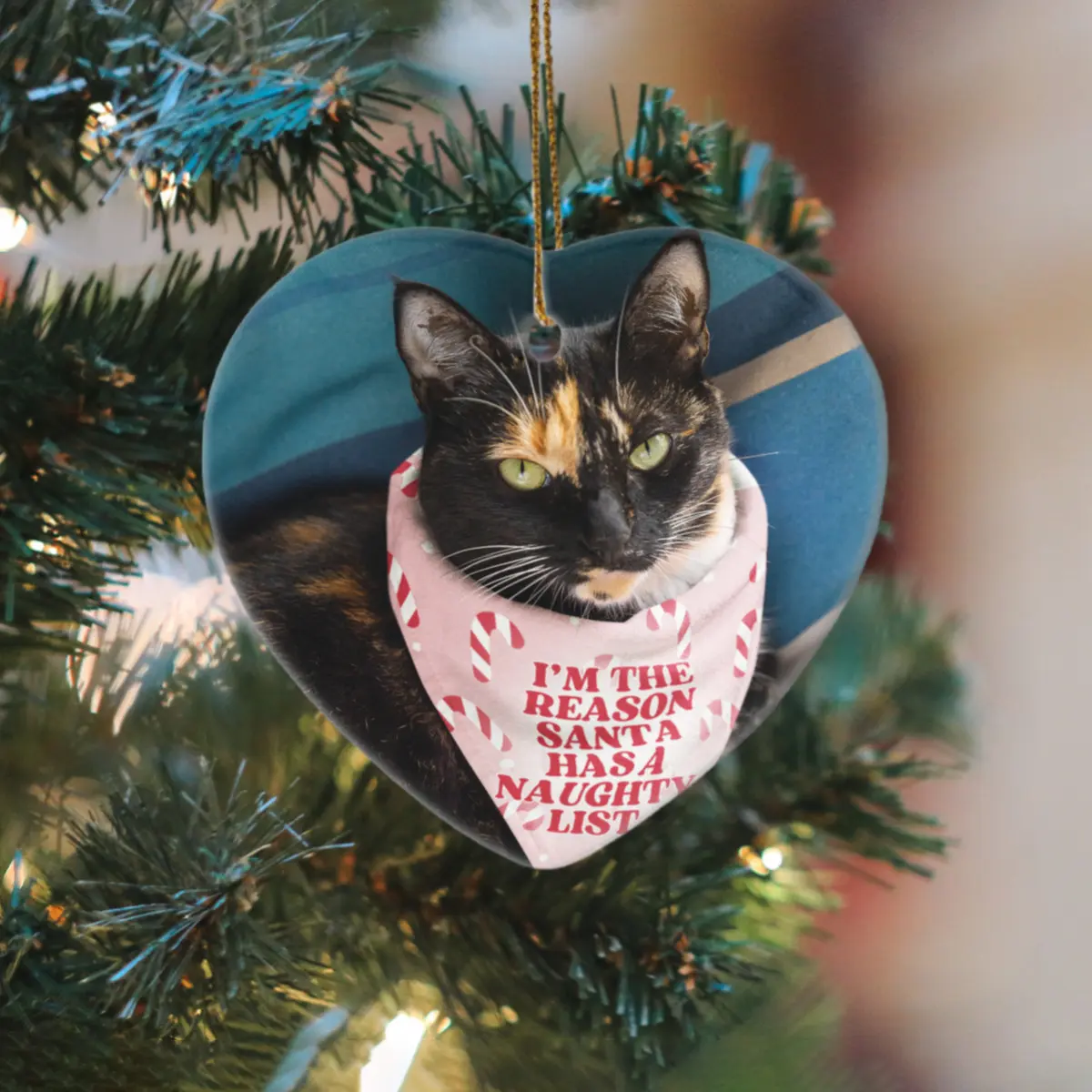 Heart-Shaped Ceramic Ornament for Home Decor and Gift Giving, Ceramic Ornament with your pets picture Does not apply