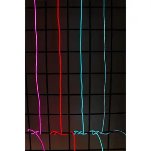 6' Neon String Light - Battery Operated