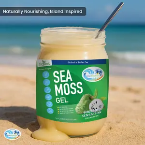 Soursop Sea Moss Gel - Organic Healthcare Supplement for Immunity Gut Health & Detoxification - 16 FL OZ - Exotic Tropical Flavor - Natural Antioxidants & Energy Boost - Wildcrafted Guanabana Blend