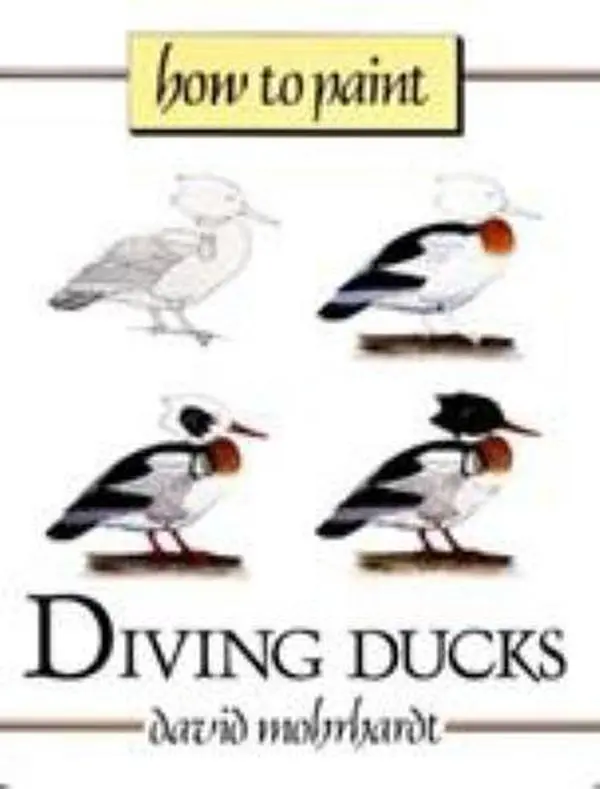 USED Book - How to Paint Diving Ducks: A Guide to Materials, Tools, and Technique by David Mohrhardt (Paperback) - english