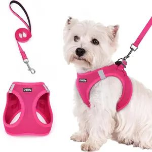 Step-In Dog Harness And Leash Set, All-Weather Breathable Mesh, Reflective, Soft And Lightweight Pet Vest, Suitable for Small Dogs, Puppies, Without Battery