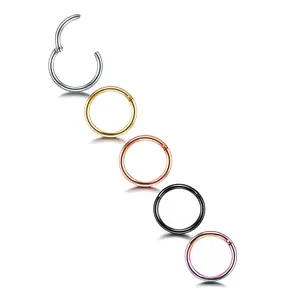 Nose Rings 20G 18G 16G 14G Lip Septum Rings 316L Surgical Steel Tragus Daith Cartilage Earrings for Women Nose Ring Hoop Hinged Segment Ring Nose Piercing Jewelry