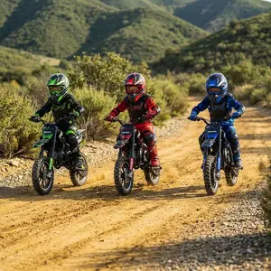 Kids' 3-Tone Red-Blue-Green Off-Road Ride-On Toy Bike, Outdoor Classic Novelty Toy Gift for Weekend Trips