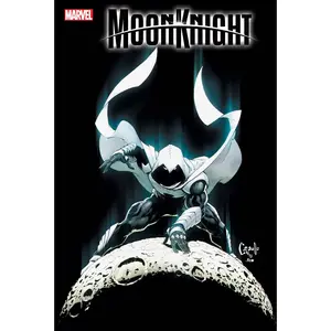 Moon Knight #30 (Poster)