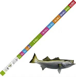 Striped Bass Ruler