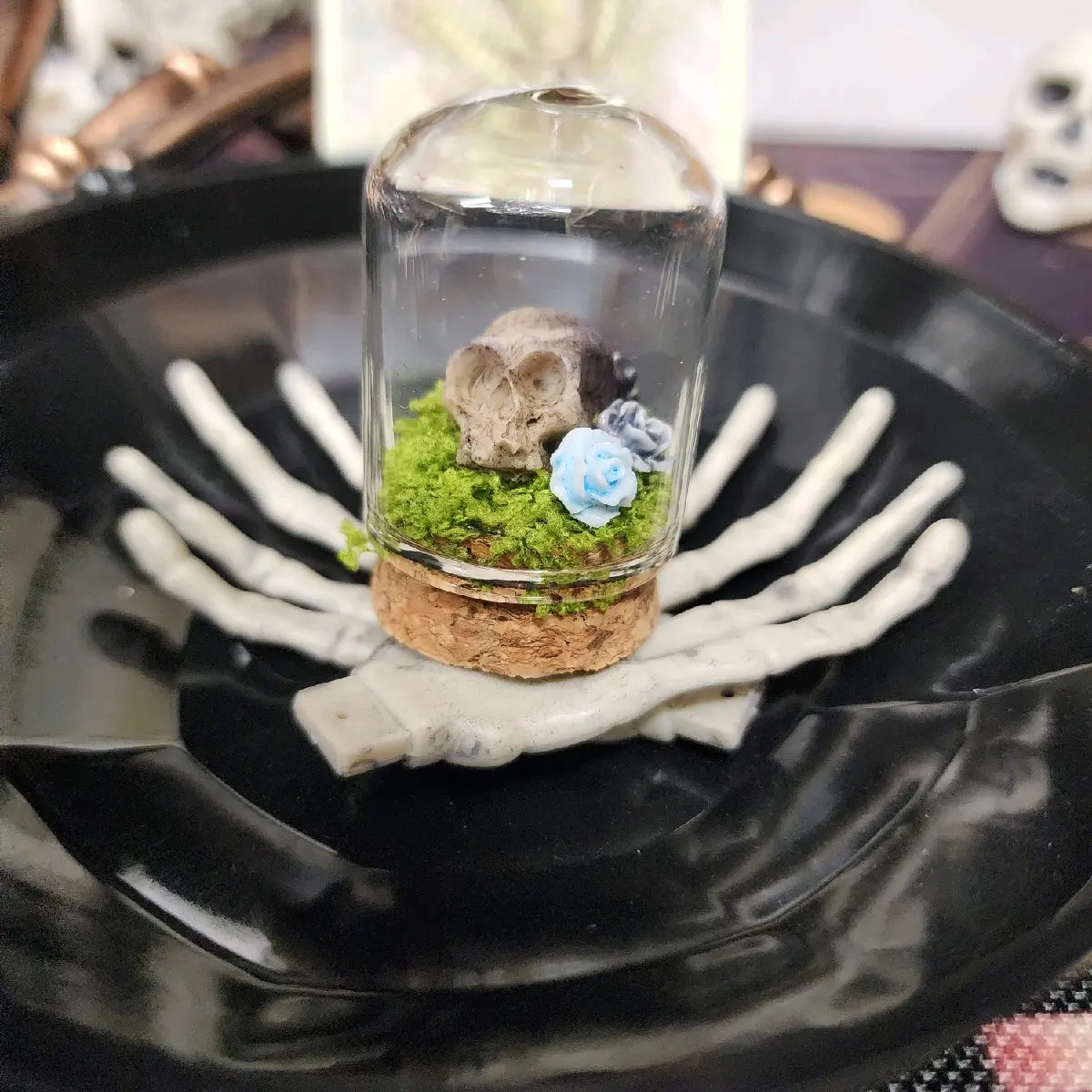 mini terrarium mini terrarium