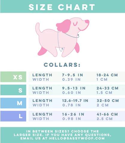 Dog Collar - Neon Purple