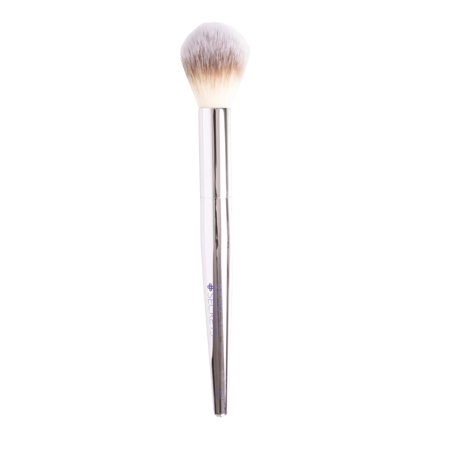 Beauty Secrets Tapered Highlight Brush