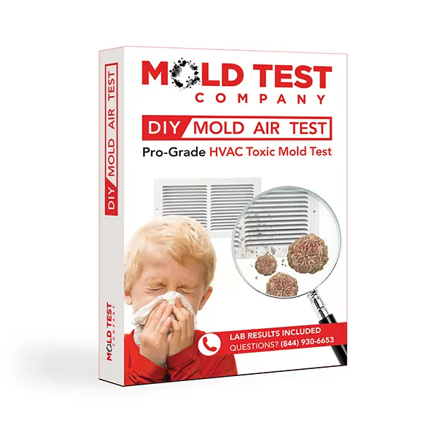 DIY Mold Test DIY Mold Test