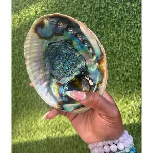Abalone Shell Catch All