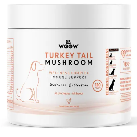 Dr Woow Turkey Tail Immune Gut Overall Health Chews, 120 CT Nutritional Supplement - Probiotic Support, Gut Balance Aid, Immune Booster with Essential Nutrients for Daily Vitality