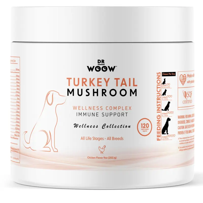 Dr Woow Turkey Tail Immune Gut Overall Health Chews, 120 CT Nutritional Supplement - Probiotic Support, Gut Balance Aid, Immune Booster with Essential Nutrients for Daily Vitality