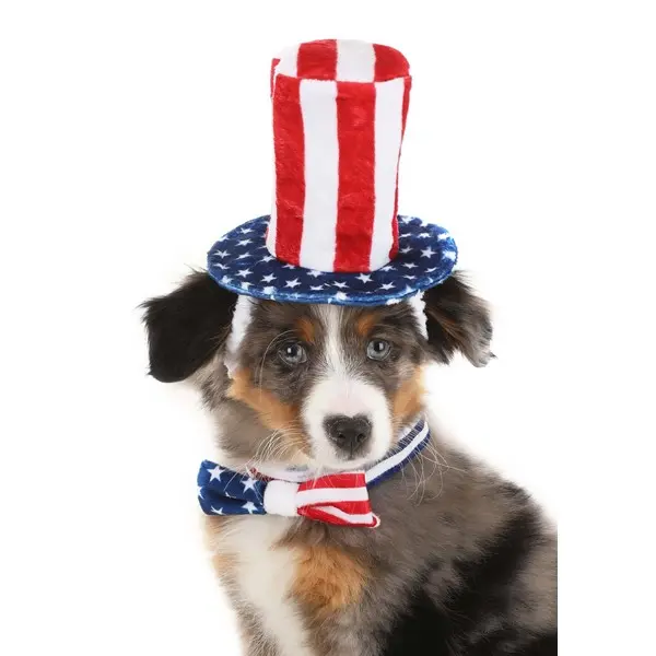 4th of July Pet Costume Kit 4th of July Pet Costume Kit