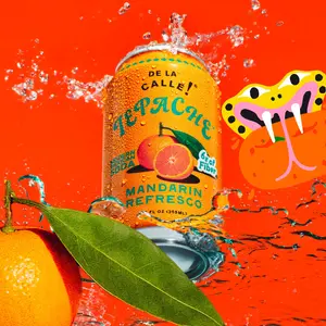 De La Calle Mandarin Tepache | Sparkling Drink