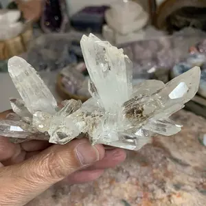 Lemurian Cluster From Colombia
