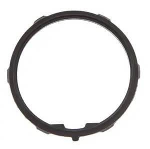 Mahle - LS Thermostat Seal - Gen 4