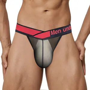 Men's Sexy Briefs Ultra Transparent Thin Breathable Mesh Bikini Men Underpants High Cut Man Underwear