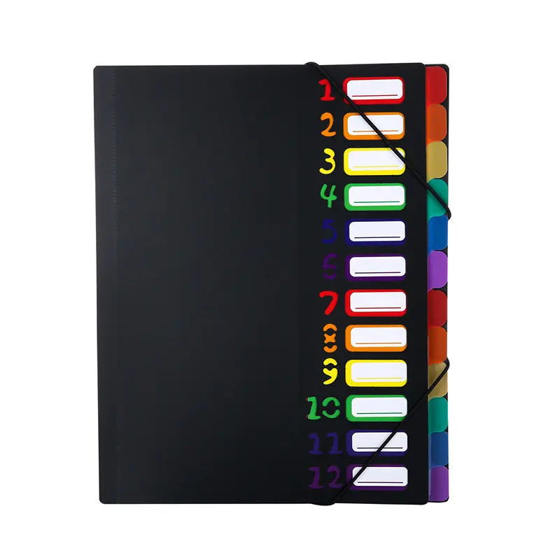 12-Pocket Rainbow A4 Plastic File Folder Organizer, Multi Pocket Paper Folder with Month Dividers, Color Labels, Flexible Elastane, Sturdy Cover, Organized Court Document Holder for Back-to-School & Portable Travel Use