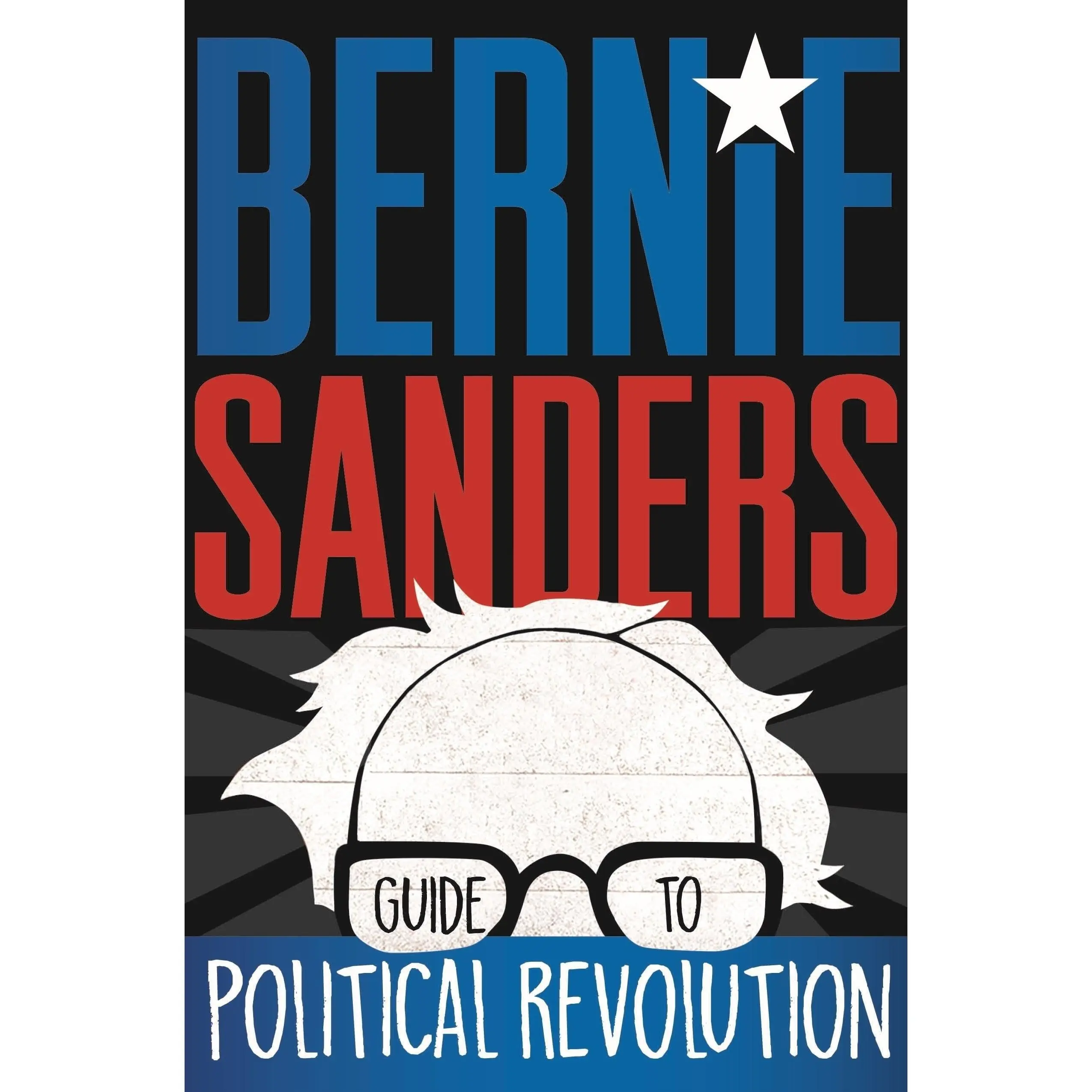 Page Publications Co Modern Political Revolution Guide Book - Literature & Art Category Book, Books