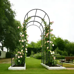 Black Metal Garden Arch with 2 Plant Stands, 79.5in Wide x 86.6in High Outdoor Climbing Plant Support for Rose Growing, Outdoor Yard Decor