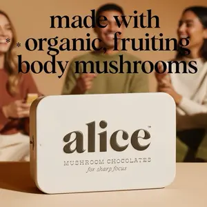 Alice magic mushroom sleep relax focus energy natural vegan non gmo
