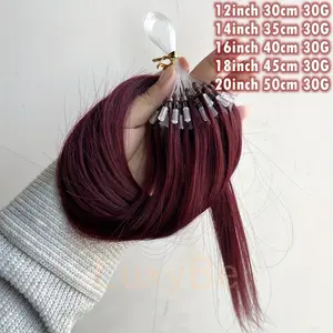 Fashion New Hot Micro Loop Hair Extensions Human Hair,Color:99J Burgundy Hair Extensions Add Volume,30G,50Strands/Pack,Micro Ring Hair With Beads No Need Glue,12inch-22inch