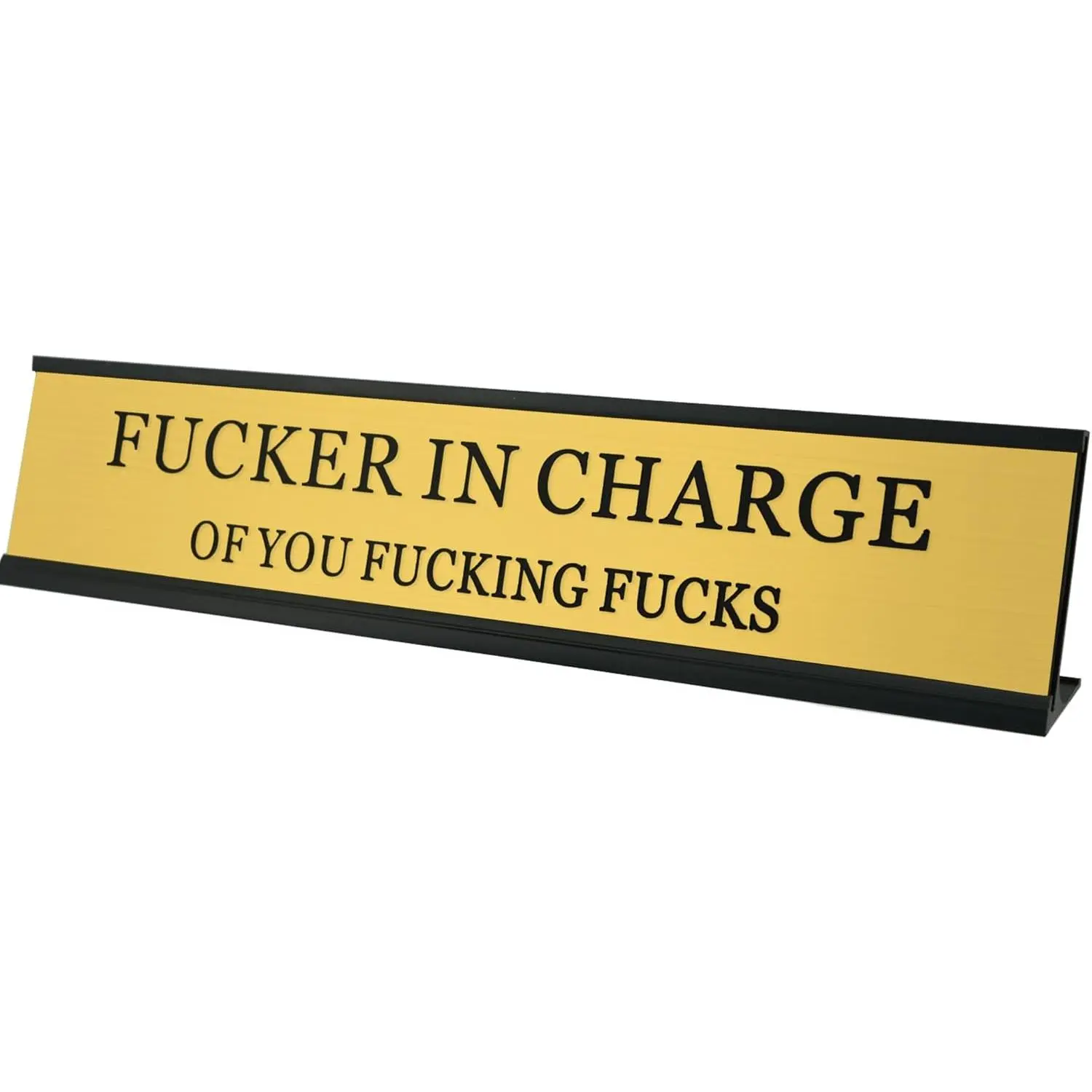 Fucker in Charge of You Fucking Fucks Desk Signs  Funny Novelty Nameplate Office Decor Plaque Men Women Boss Coworker  10 x 2 Inch