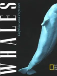 USED-Whales: Dolphins and Porpoises by National Geographic Society (U. S.) (Hardcover)