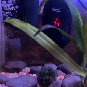 hygger 15W AC 110-120V/60Hz Small Submersible Aquarium Heater, Adjustable Temperature External Controller, LED Display for 2.5-25 Gal Betta Fish & Turtle Tanks
