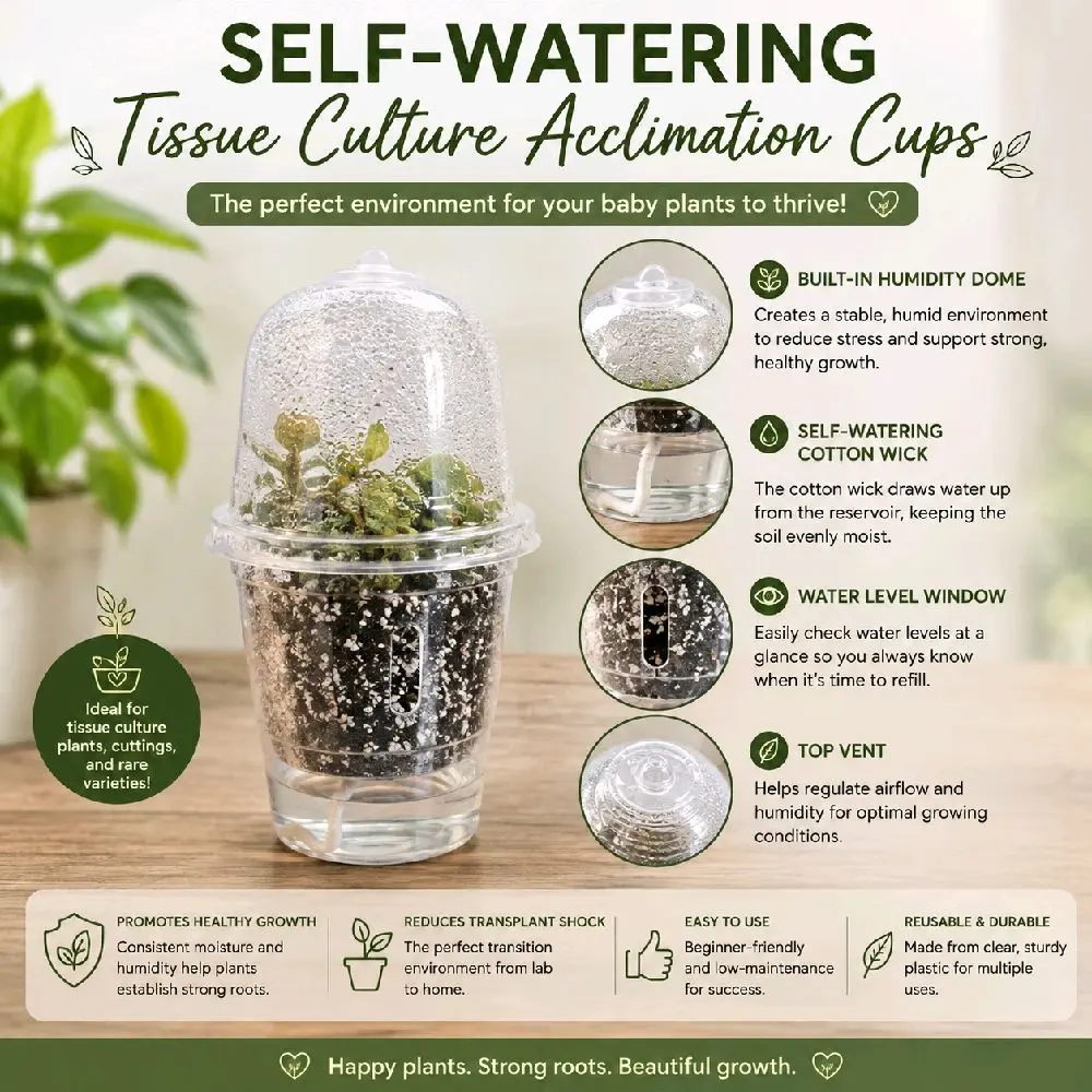 Clear Tissue Culture Acclimation Cups with Cotton Wick Disposable Plastic Glasses for Self-Watering & Healthy Root Development Hydration Moisture Grow Hydroponics