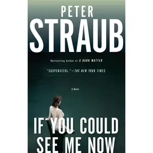 USED-If You Could See Me Now by Straub, Peter (Paperback)