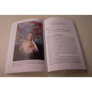 USED-The Immaculate Heart of Mary and Gods Plan for America by Luiz Sergio Solimeo (Paperback)