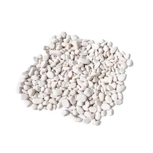 Snow White Pebbles: Ideal for Gardens, Fish Tanks , Succulents, Crafts & More