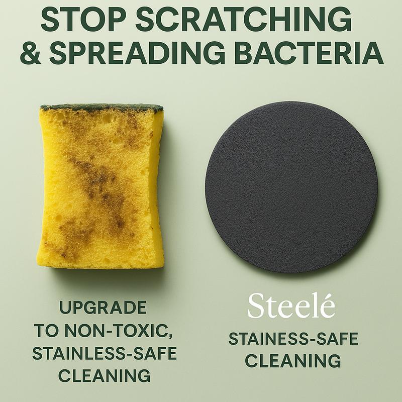 Steelé Sponge for Stainless Steel Cookware