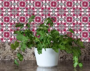 360 stand Colorful Decorative 7x7 in. Rosa Pink Peel & Stick Wall Tiles Sticker, 24 Removable Pieces for Kitchen