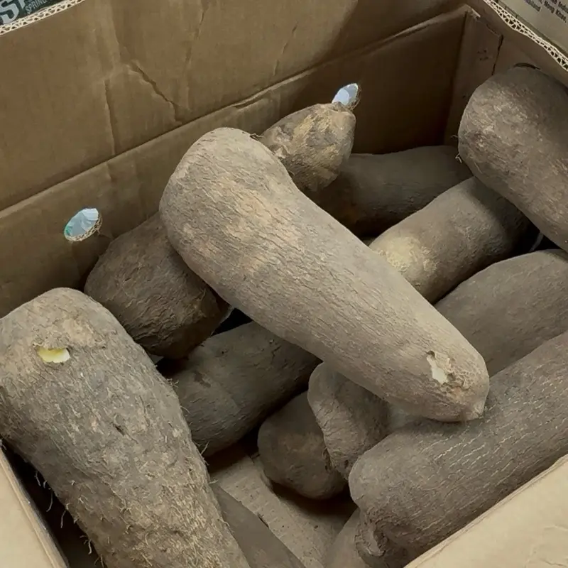 Fresh Ghana Pona Yam Box Pack, 50lbs African Pantry Packaged Yam