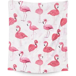 Flamingo Blanket Gifts - 80x60es Cute Throw Blanket for Women & Girls - Pink Soft Plush Blankets for Crib, Couch & Travel, Gifts for Flamingo Lovers