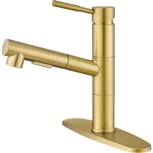 Gold Kitchen Faucets, Brushed Gold Kitchen Faucet with Pull Down Sprayer, Modern Stainless Steel Kitchen Sink Faucet, Low Arc Small Kitchen Faucet for RV Kitchen, Bar Sink, Farmhouse