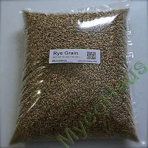 10 Pounds Rye Grain / Rye Berries 10 Pounds Rye Grain / Rye Berries