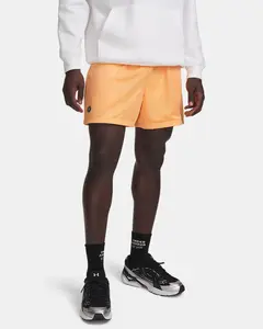 Under Armour Icon Mesh Men's 5" Shorts