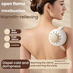 Portable Adult Cupping Therapy Set, Reusable Wormwood Applicator with Heat Control, Home Relaxation & Health Essentials