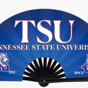 TSU TENNESSEE STATE university